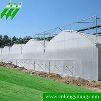 Multi-span Greenhouse