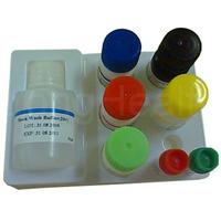HBsAg Elisa Kit