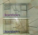 Family rat trap