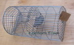 Trap -- monarch rat