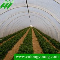 Greenhouse