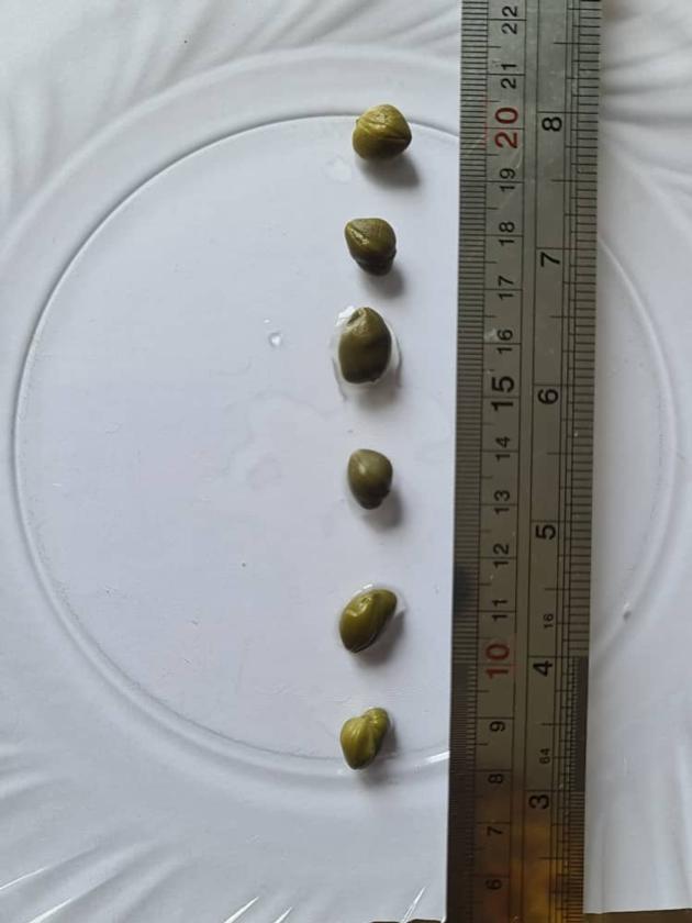 Capers