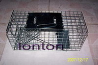 Animal trap