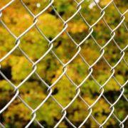 wire mesh fence
