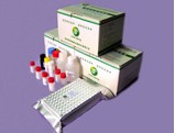 Sulfonamides residues (SAs) ELISA Test Kit