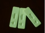 Melamine rapid test strips