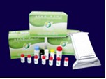 Trichothecenes (T-2) ELISA test kit
