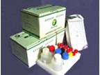 Porcine Circovirus ELISA Test Kit