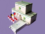 Quinolones(QNS) ELISA Test Kit