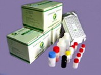 Ochratoxin A（OTA）ELISA Test Kit