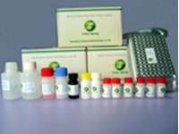 Streptomycin ELISA Test Kit