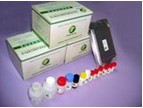 Salbutamol ELISA Test Kit