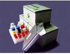 Gentamicin ELISA Test Kit