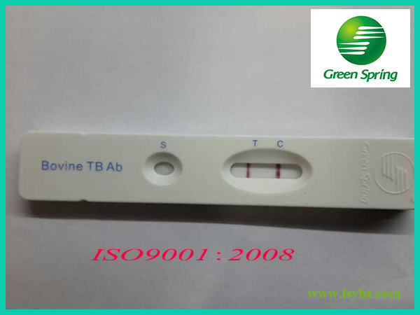 Bovine Tuberculosis (TB) antibody rapid test card