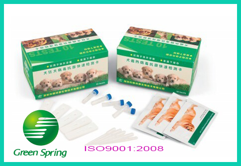 Canine distemper virus antigen rapid test card 