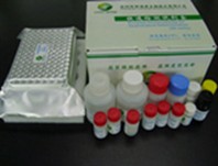 Anti- circovirus antibody rapid test card