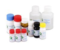 PRRSV Antibody ELISA Test Kit