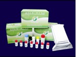 Chloramphenicol(CAP) ELISA Test Kit
