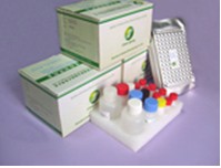 Porcine Parvovirus antibody ELISA Test Kit