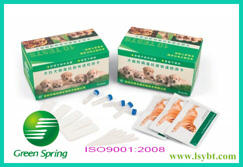 Canine distemper virus antigen rapid test card 