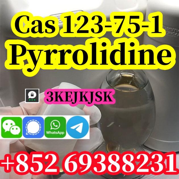 China manufacturer pyrrolidine Cas 123-75-1 quality guaranteed 