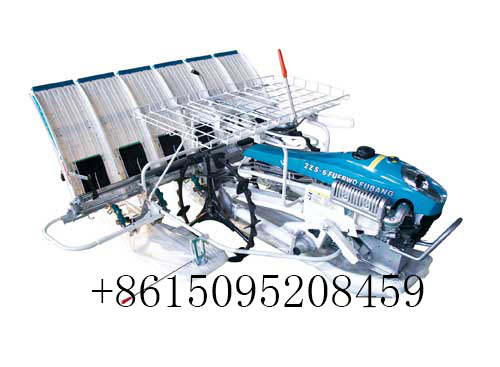 4 Rows Walking Rice Planter Seedling