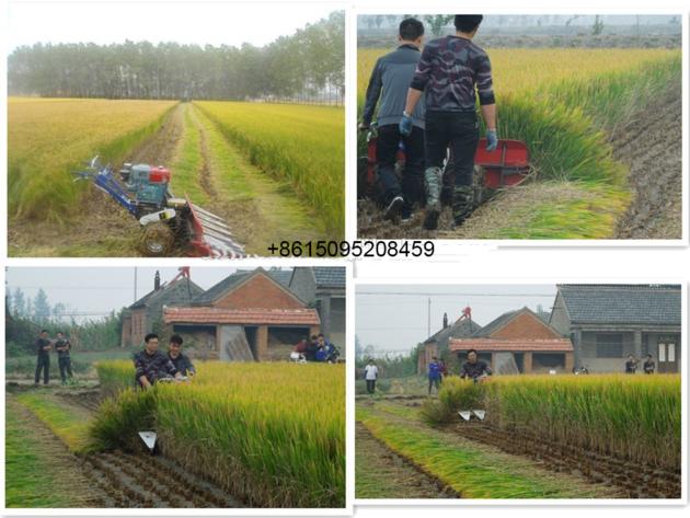 Rice Harvester