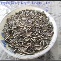Sunflower Seeds 5009