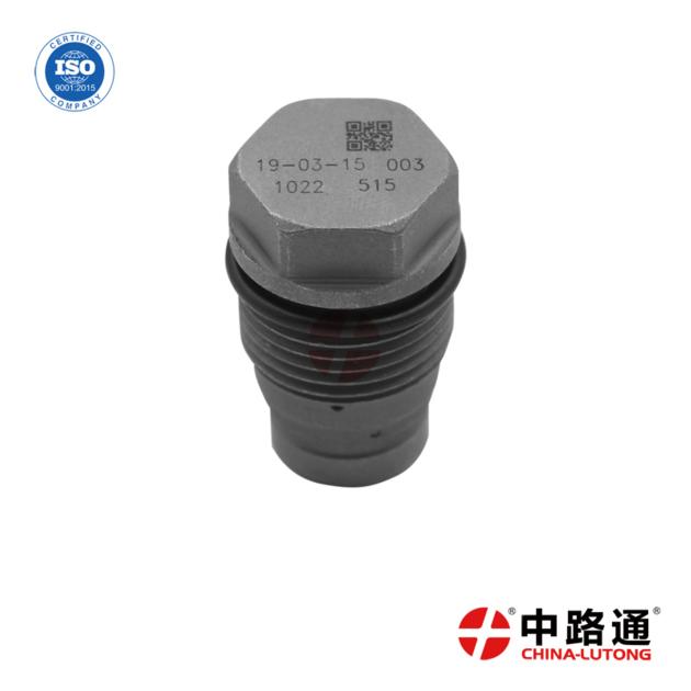 EUP pump control valve 1 110 010 022 Common Rail Pressure Release Valve