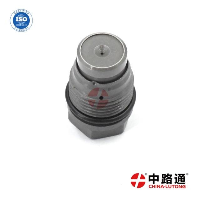 Common Rail Pressure Release Valve 1 110 010 027 for high pressure pumps