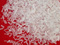 monosodium glutamate