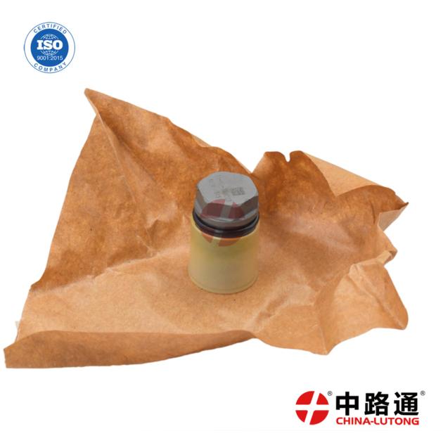 Pressure Limiter Valve 1 110 010 024 injector pump for sale-Fuel Injection Pump