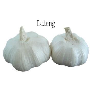 luteng