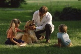 Dead Sea Cosmetics for dogs