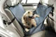 Pet Products
