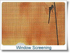 Window screening