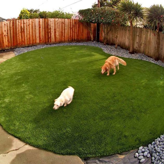 Green Pet Artificial Lawn Grass Carpet