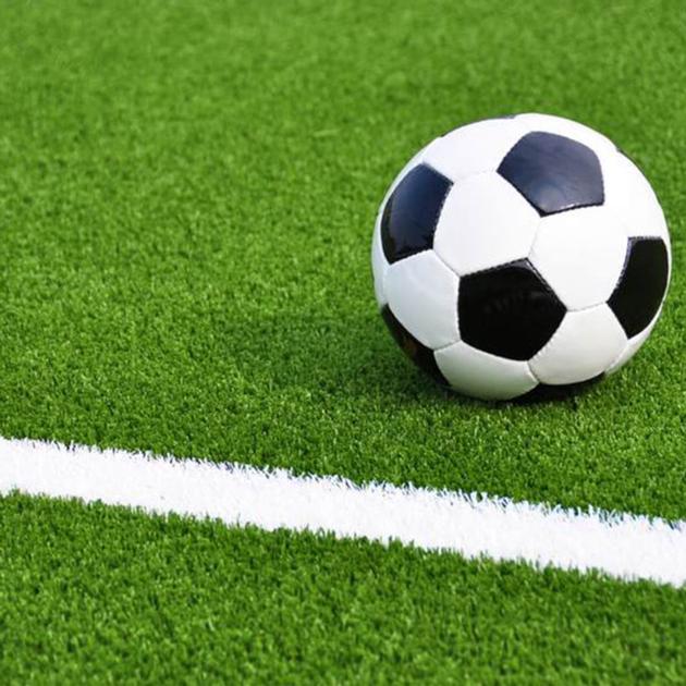Soft Grass Supplier Football Field Artificial Grass for Soccer 