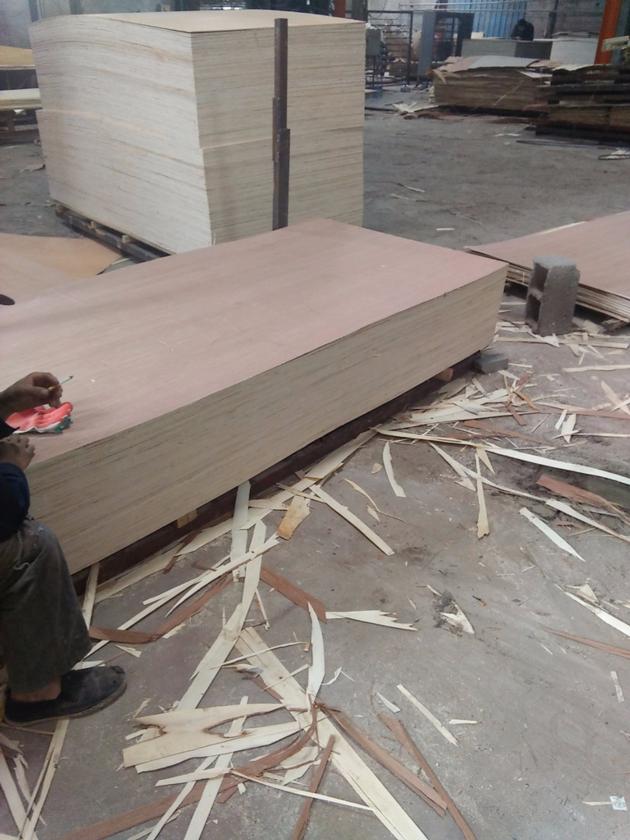 full birch plywood for furniture3mm-40mm