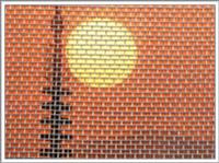Window Screen