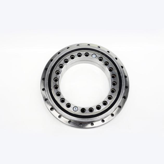 Rotary table bearing