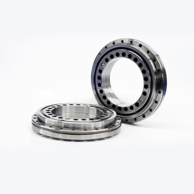 Rotary Table Bearing