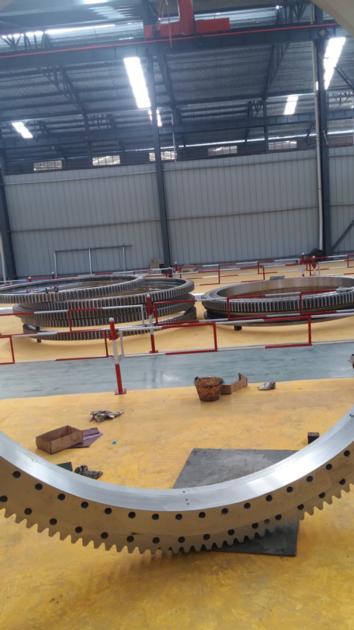Sell High Quality Slewing Ring RKS