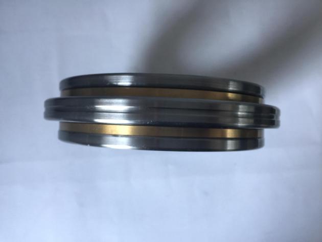 Rotary Table Bearing