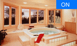 electrically controlled glass-smart glass