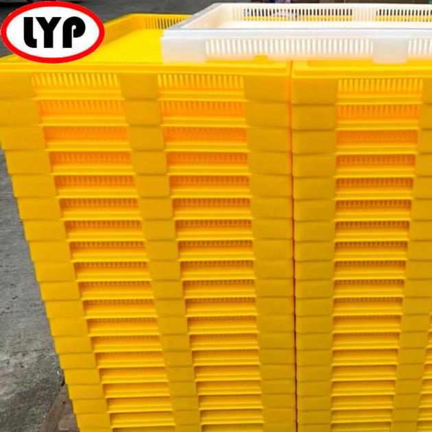Softgel Drying Tray From China