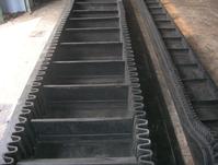 Sidewal Conveyor Belt