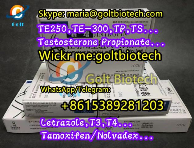 Test base 100mg buy TNE testosterone no ester testosterone enanthate TE250 TU 300 TP TS injection 