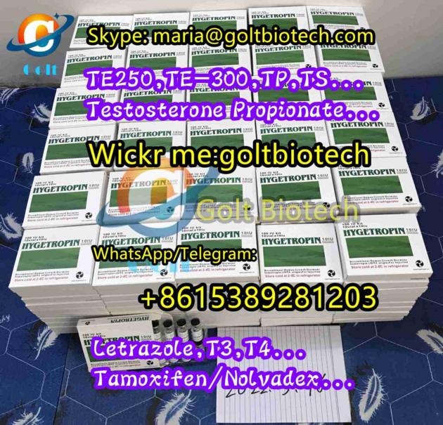 Test Base 100mg Buy TNE Testosterone