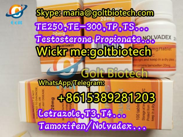 Test Base 100mg Buy TNE Testosterone